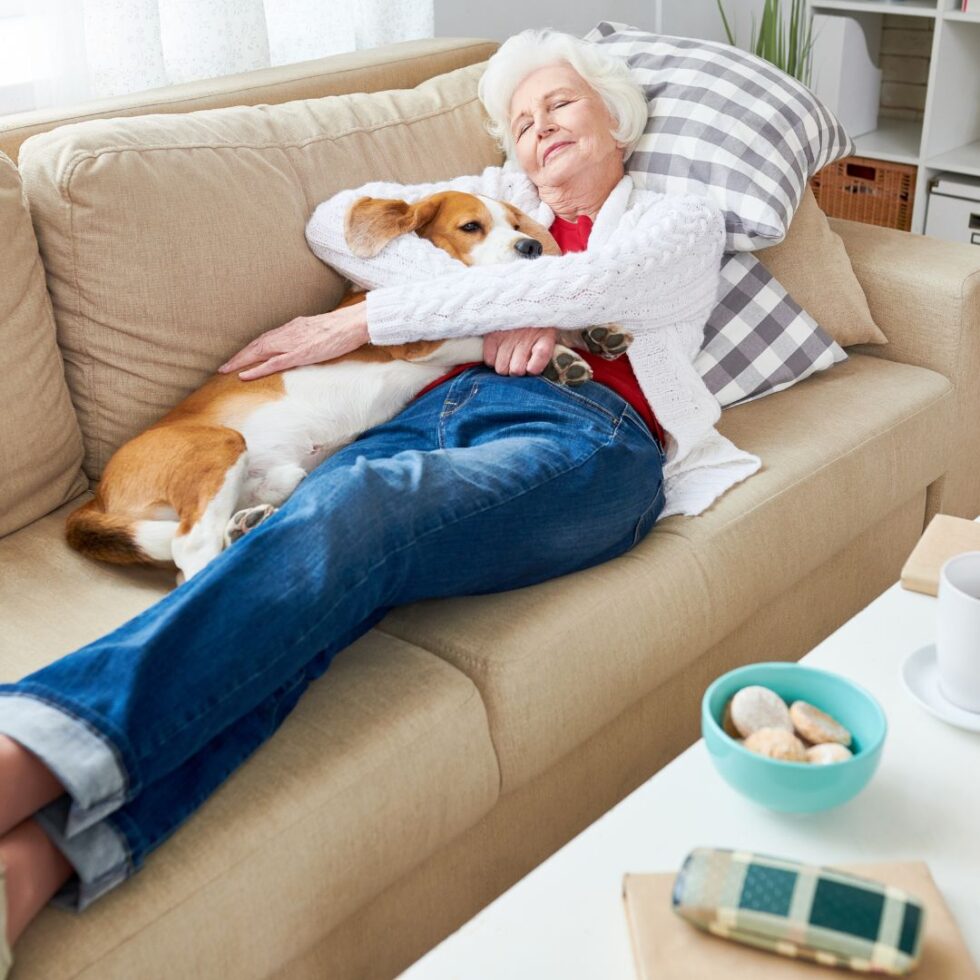 Pet Peace of Mind | Hospice of Redmond - Hospice Care, Bereavement Support